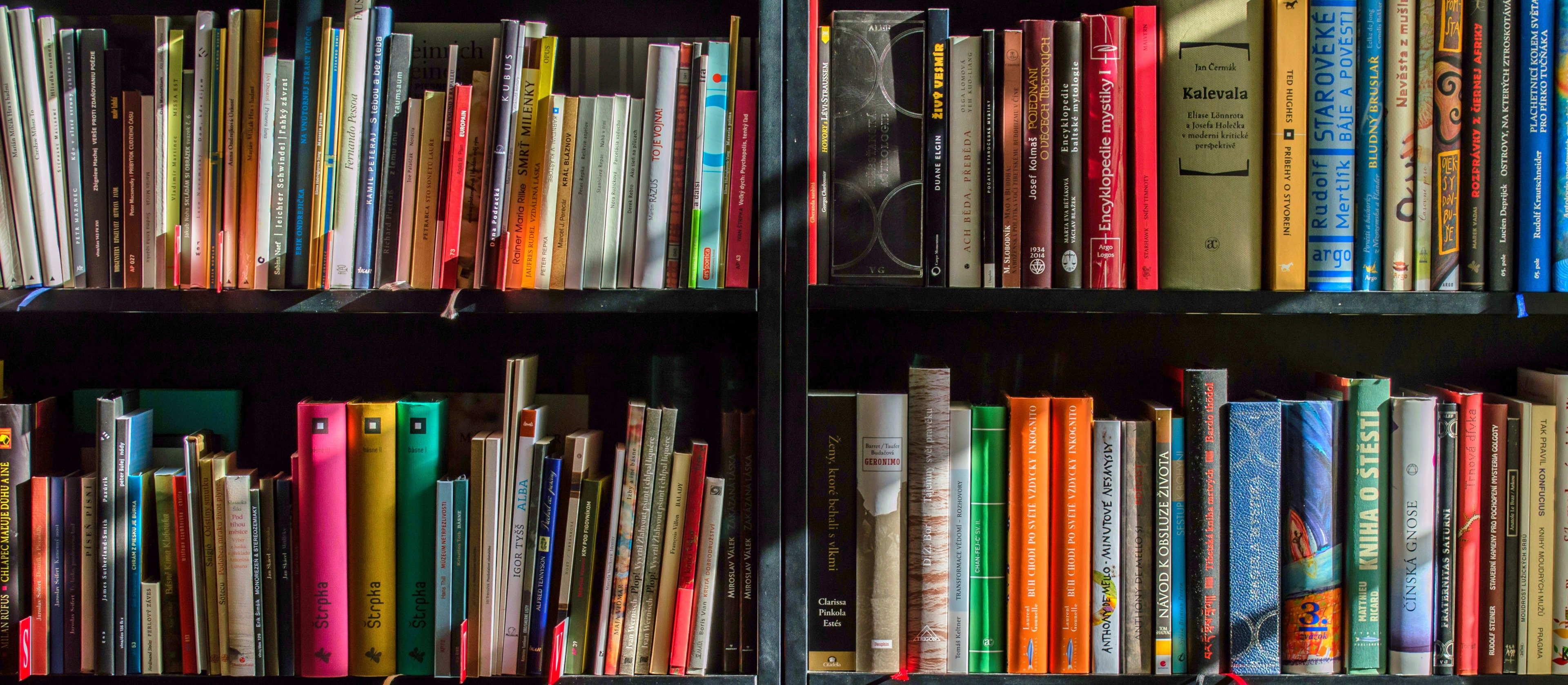 Photo of Books on a Shelf